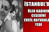 İstanbul’da Ölen Kadının Cesedini Evcil hayvanlar yedi