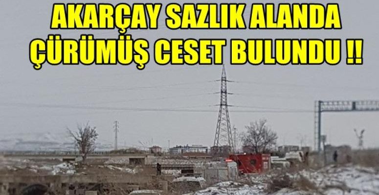 Afyon Akarçay, Sazlık alanda çürümüş ceset bulundu !!