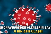 Koronavirüs vefat sayısı 5 bin 25’e ulaştı – SAĞLIK