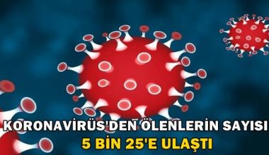 Koronavirüs vefat sayısı 5 bin 25’e ulaştı – SAĞLIK